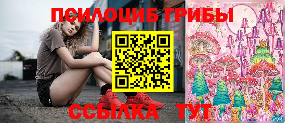 Галлюциногенные грибы Cubensis  Галлюциногенные грибы мухоморы  цена   Кисловодск  Вход с VPN 