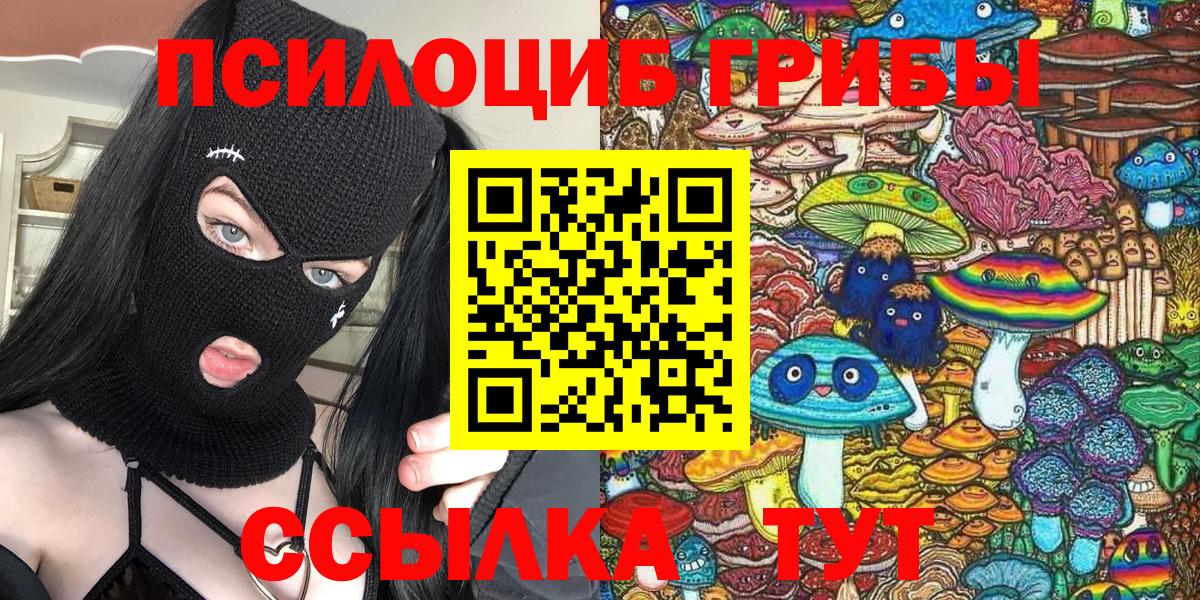 Псилоцибиновые грибы прущие грибы Кисловодск