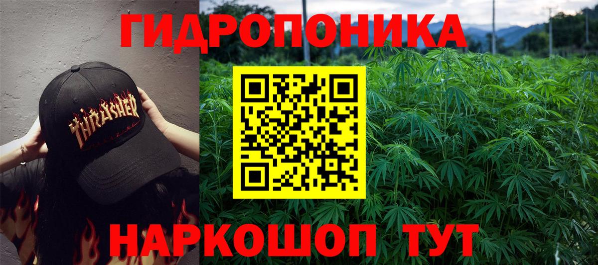 Марихуана тримм Кисловодск